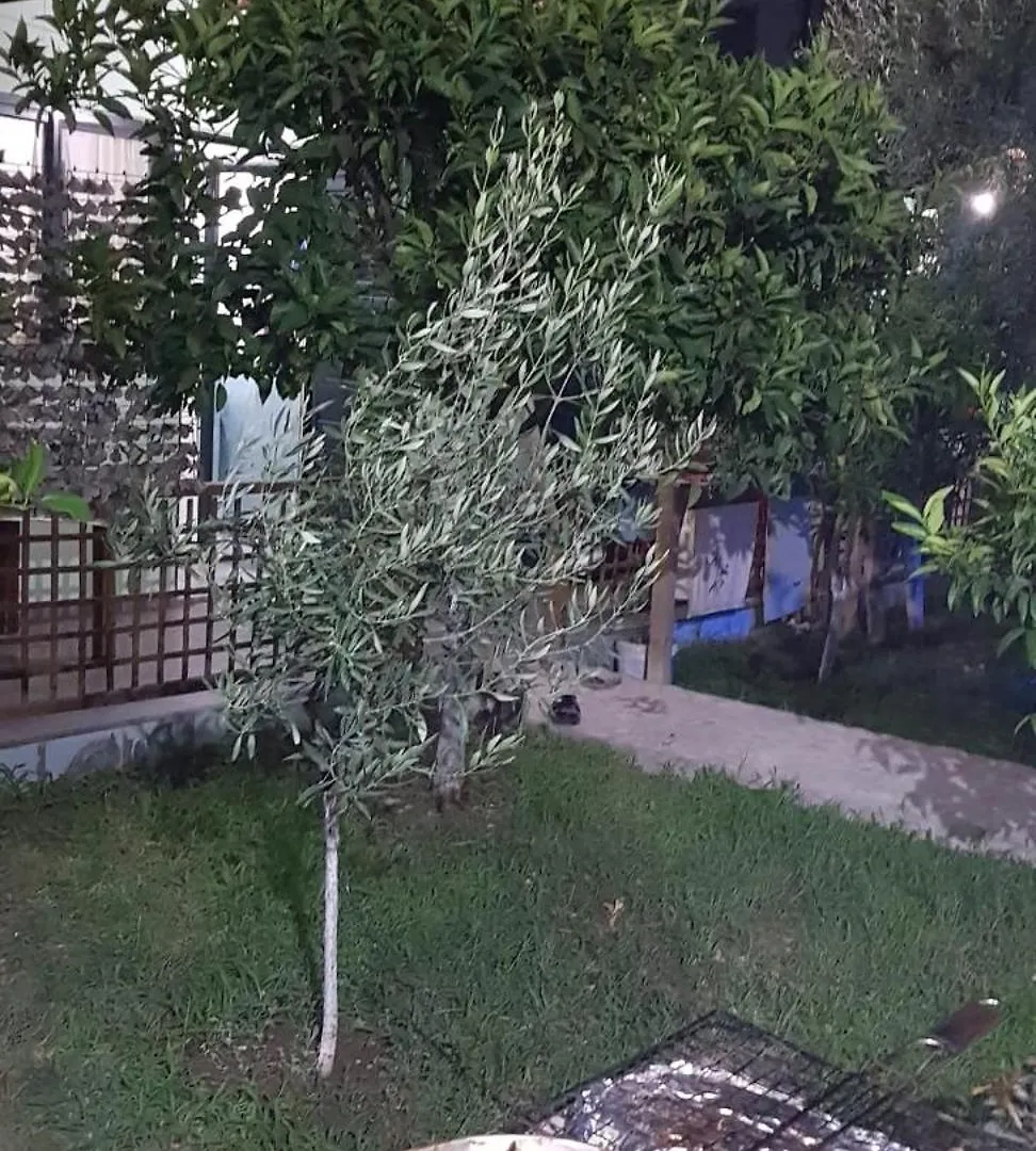 Villa The Olive Grove à Borsh