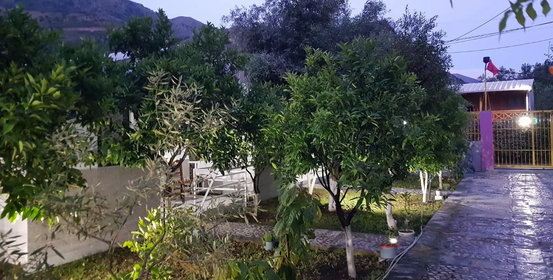 Villa The Olive Grove Borsh Casa vacanze