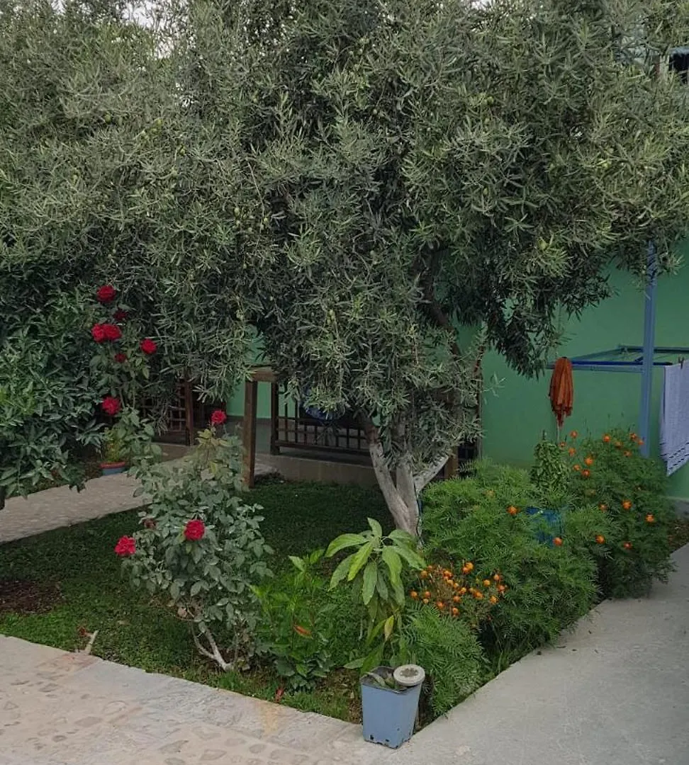 Villa The Olive Grove à Borsh 0*,